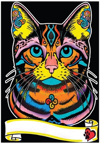 Kolorowanka welwetowa A4 Kot Europejski, Colorvelvet