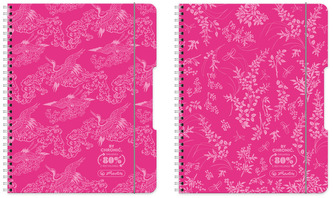 Brulion na spirali  B5 80k. Eco PP colors róż, Herlitz