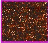 Pianka artystyczna Mikroguma brokatowa 20x30cm op. 5 ark. ciemno brązowa, Galeria Hobby