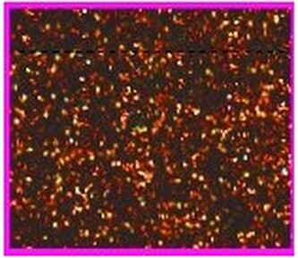 Pianka artystyczna Mikroguma brokatowa 20x30cm op. 5 ark. ciemno brązowa, Galeria Hobby