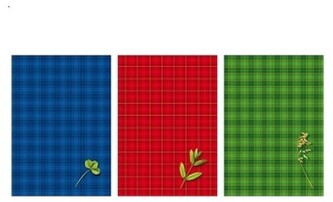 Brulion B6 200k. kratka, Kreska