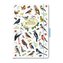 Trötsch Notizbuch Unsere Vogelwelt Meine Notizen