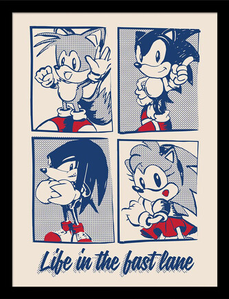Obraz na zeď - Sonic the Hedgehog - Life in the Best Lane, 34.3 x 44.5 cm