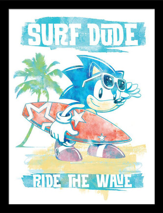 Obraz na zeď - Sonic the Hedgehog - Ride the Wave, 34.3 x 44.5 cm