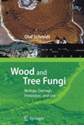 Wood and Tree Fungi