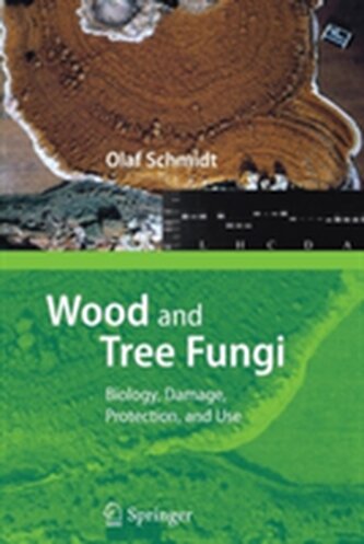 Wood and Tree Fungi