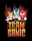 Obraz na zeď - Sonic the Hedgehog - Team Sonic, 34.3 x 44.5 cm