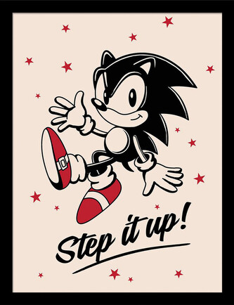 Obraz na zeď - Sonic the Hedgehog - Step It Up, 34.3 x 44.5 cm