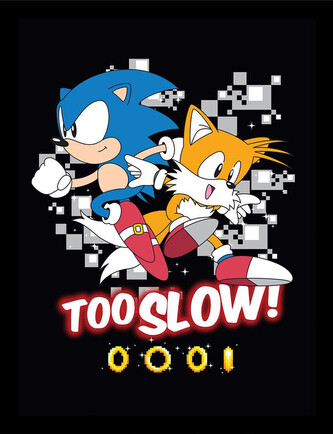 Obraz na zeď - Sonic the Hedgehog - Too slow, 34.3 x 44.5 cm