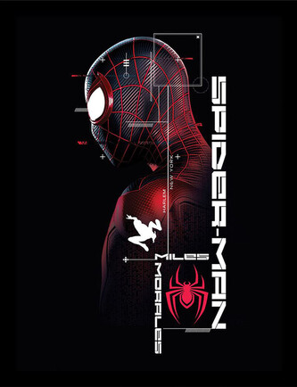 Obraz na zeď - Spider-Man - New York, 34.3 x 44.5 cm