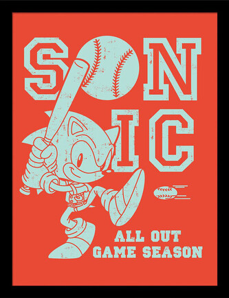 Obraz na zeď - Sonic the Hedgehog - All Out Game Season, 34.3 x 44.5 cm