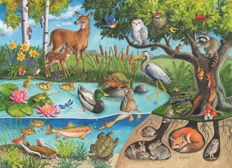 RAVENSBURGER Puzzle Zvířata na zemi i pod ní – tajemství přírody 60 dílků