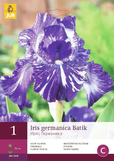 Karta - Kosatec GERMANICA BATIK (1 hlíza) "C"