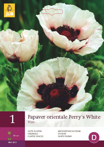 Karta - Mák ORIENTALE PERRY'S WHITE (1 hlíza) "C"