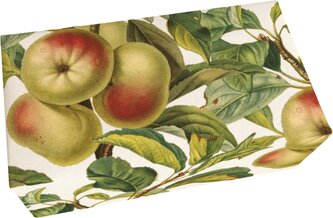 Dárkové mýdlo Apples 200 g