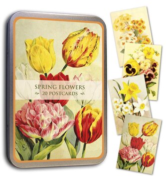 Pohlednice v plechové dóze Spring Flowers