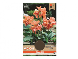Dosna SALMON PINK 2ks