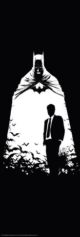 Plakát, Obraz - Batman - Secret Identity, 53 × 158 cm