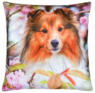 Dekorační polštář s motivem - KOLIE 40x40 cm Mybesthome