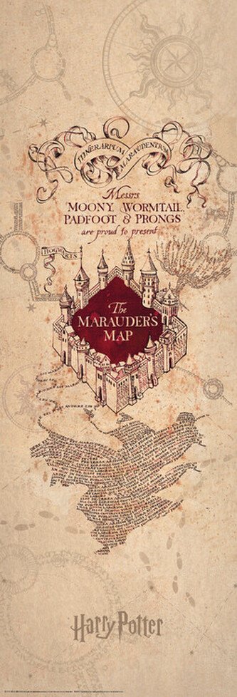 Plakát, Obraz - Harry Potter - The Marauder's Map, 53 × 158 cm