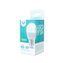 LED žárovka Forever E27 G45 10W teplá bílá (3000K)