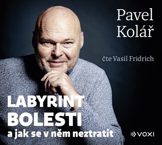 Labyrint bolesti (audiokniha)