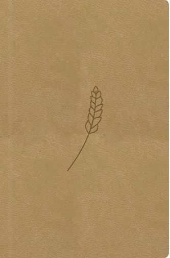 Bible, překlad 21. století (medová) - kapesní