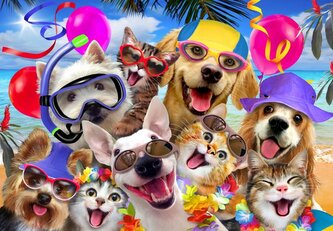 ALIPSON Puzzle Selfie Plážová párty 1000 dílků