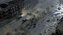 Sudden Strike 4 (PC)
