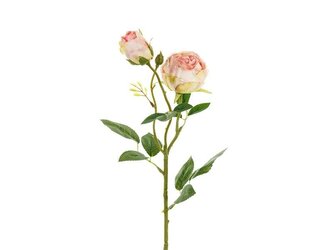Róża z dwoma pąkami 55cm