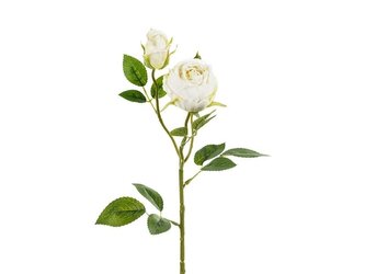 Róża z dwoma pąkami 55cm