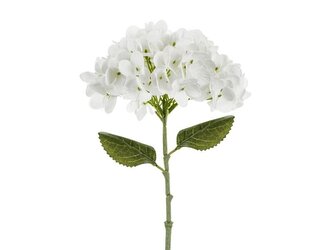 Hortensja biała 35cm