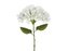 Hortensja biała 35cm