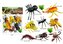 Insekty