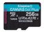 Kingston paměťová karta 256GB microSDXC Canvas Go Plus Gen4 C10 UHS-I U3