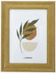 Ramka drewniana 13x18cm F113, Gedeon