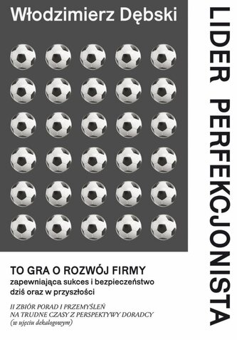 Lider perfekcjonista