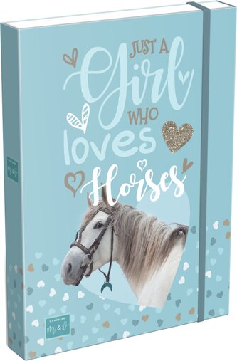 box na sešity A5 Mici Horses 22993201