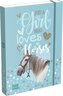 box na sešity A5 Mici Horses 22993201