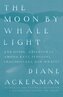 Moon By Whale Light