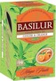 BASILUR Magic Ginger & Orange přebal 20x1,5g
