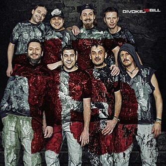 Divokej Bill - 15 - LP