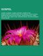 Gospel