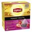 Černý čaj Lipton - pyramidy,červ.ovoce, 20x 1,7 g