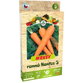 Pásek Mrkev ranná NANTES 3, 5 m