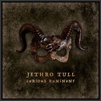 Jethro Tull:  Curious Ruminant Jethro Tull:  Curious Ruminant