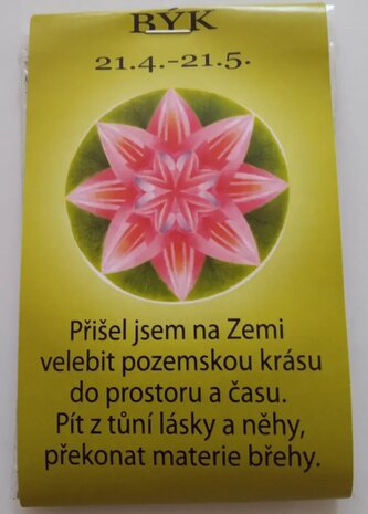Čajíček - býk