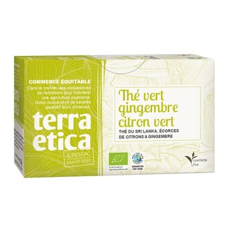 Terra Etica Bio zelený čaj se zázvorem, citrónem a limetkou ze Šrí Lanky, sáčky 20 x 1,8 g