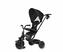 MILLY MALLY Qplay Rowerek trójkołowy Elite Platinum Black