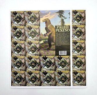 Paleo pexeso (64 dílků)